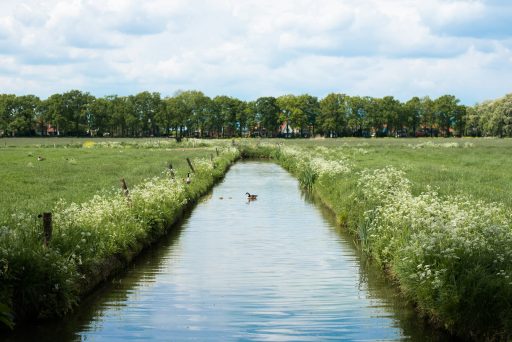 green grass field near river during daytime