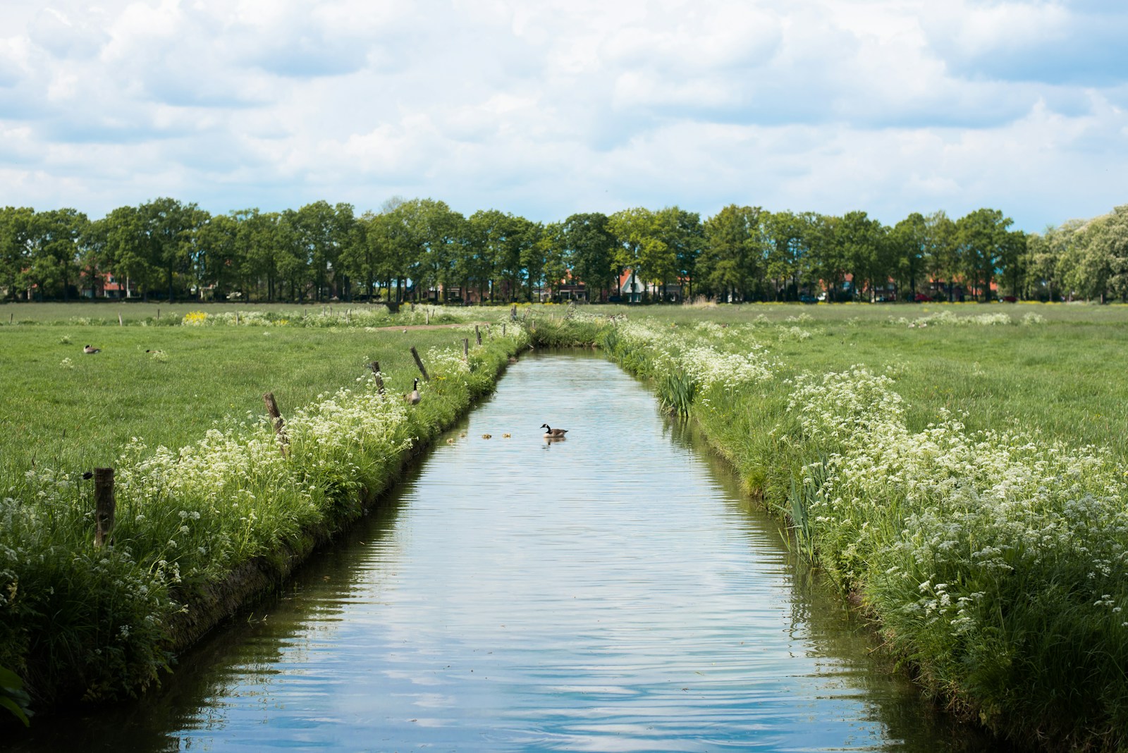 green grass field near river during daytime