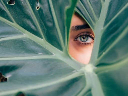 woman peeking over green leaf plant taken at daytime