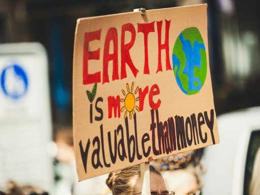 Earth is more valuable than money signage