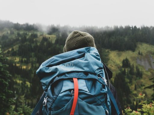person wearing teal backpack looking at mountain
