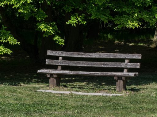 Mensen ontspannen in een Berlijns park op een zonnige zomerdag
