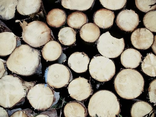 Diverse groene bouwmaterialen waaronder sloophout en stenen op een verbouwingswerf