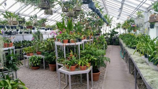 Een glazen serre aangebouwd aan een woning met uitzicht op de tuin