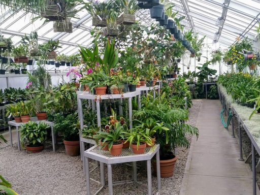 Een glazen serre aangebouwd aan een woning met uitzicht op de tuin