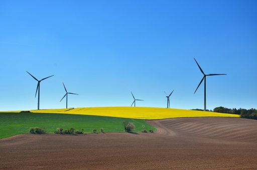 Keurmerken op productverpakkingen die duurzaamheid en eerlijke productie aantonen
