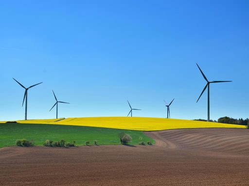 Keurmerken op productverpakkingen die duurzaamheid en eerlijke productie aantonen